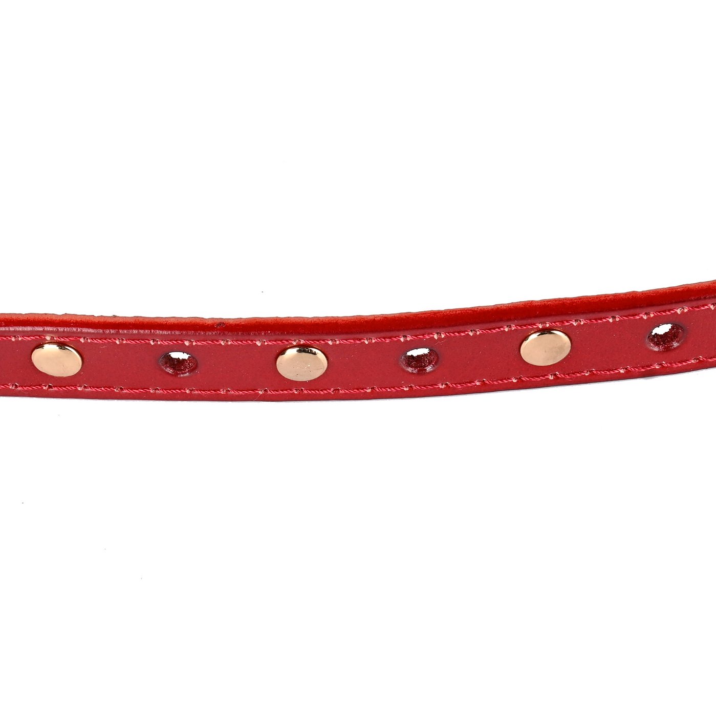 Women\'s belt BLT07