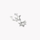 Star gold plated earrings GB