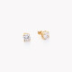 Boucles d&#039;oreilles rondes en acier brillant GB