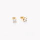 Boucles d&#039;oreilles rondes en acier brillant GB