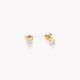 Boucles d&#039;oreilles rondes en acier brillant GB