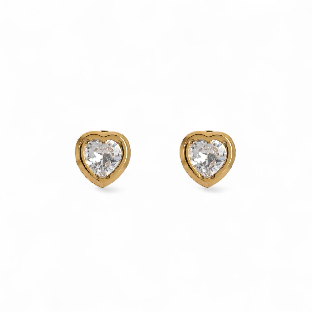 Brincos Glamour com zircônia
