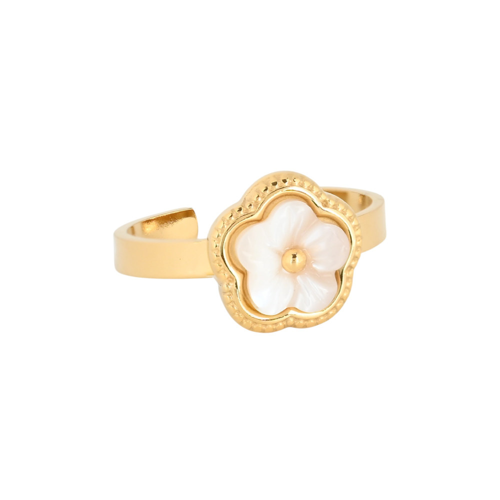Anel ajustável em aço flor GB