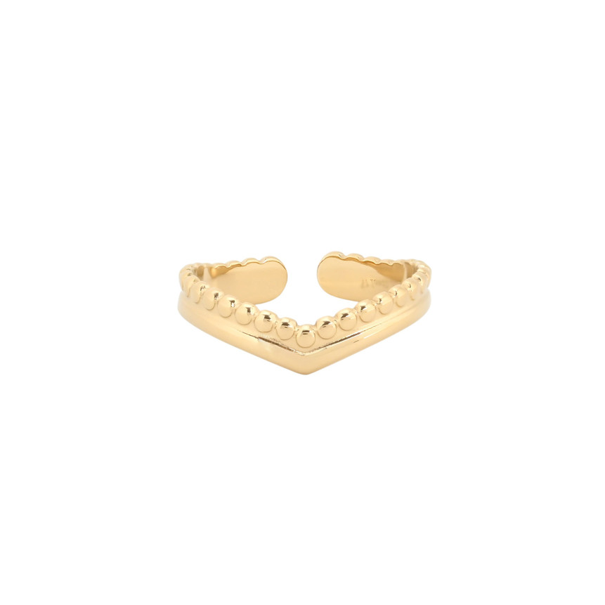 Basic adjustable ring of steel GB
