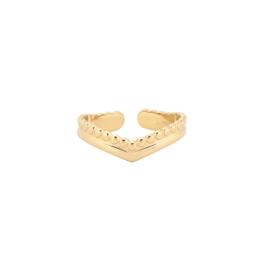 Basic adjustable ring of steel GB
