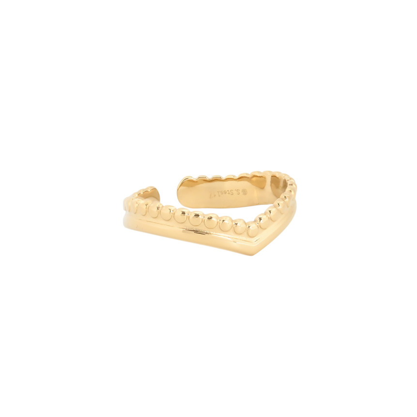 Basic adjustable ring of steel GB