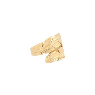 Delicate adjustable ring with two leaves