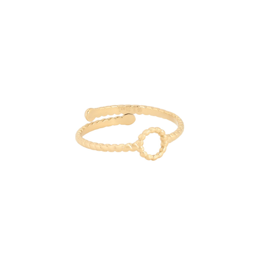 Delicate ring with small circle