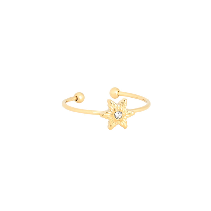 Anel ajustável aço fino com estrela GB