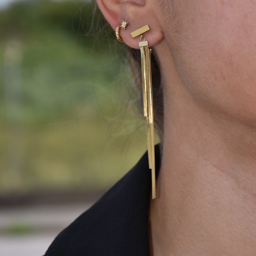 Steel earrings long fringed GB