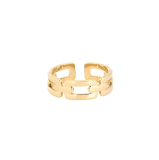 Delicate ring with intertwined links