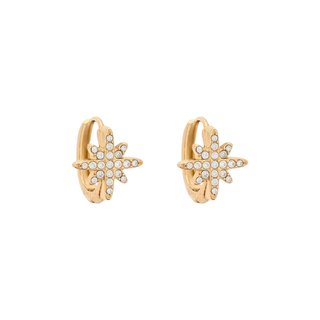 Mini Delicate hoop earrings star
