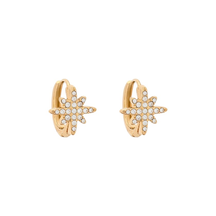 Mini Delicate hoop earrings star