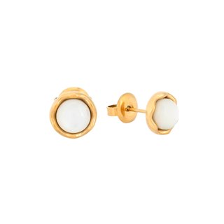 Round steel earrings texture GB