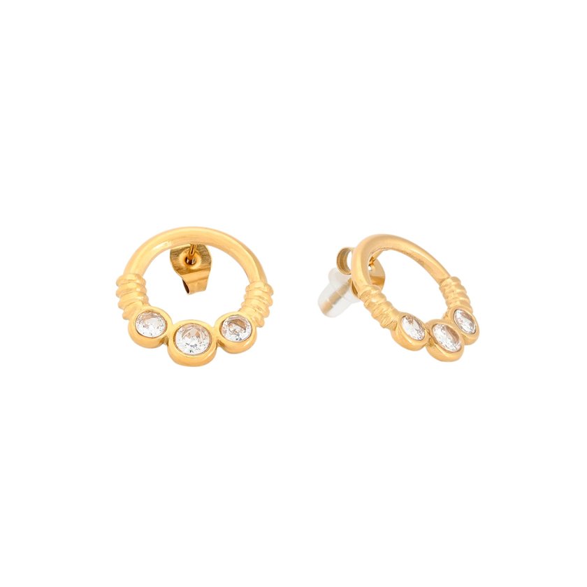 Stainlees Steel earrings rounds GB