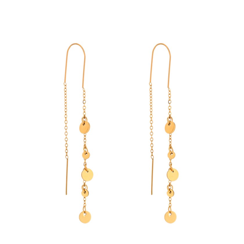 Long steel earrings round GB