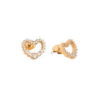 Steel earrings with small heart