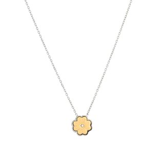 Steel necklace clover brilliant GB