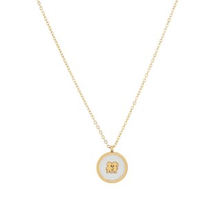 Collana in acciaio doppia GB