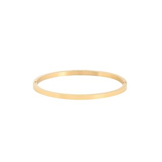 Pulseira rígida básica aço GB