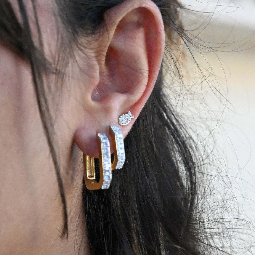 Stainless Steel Earrings with Zirconia, Sardine