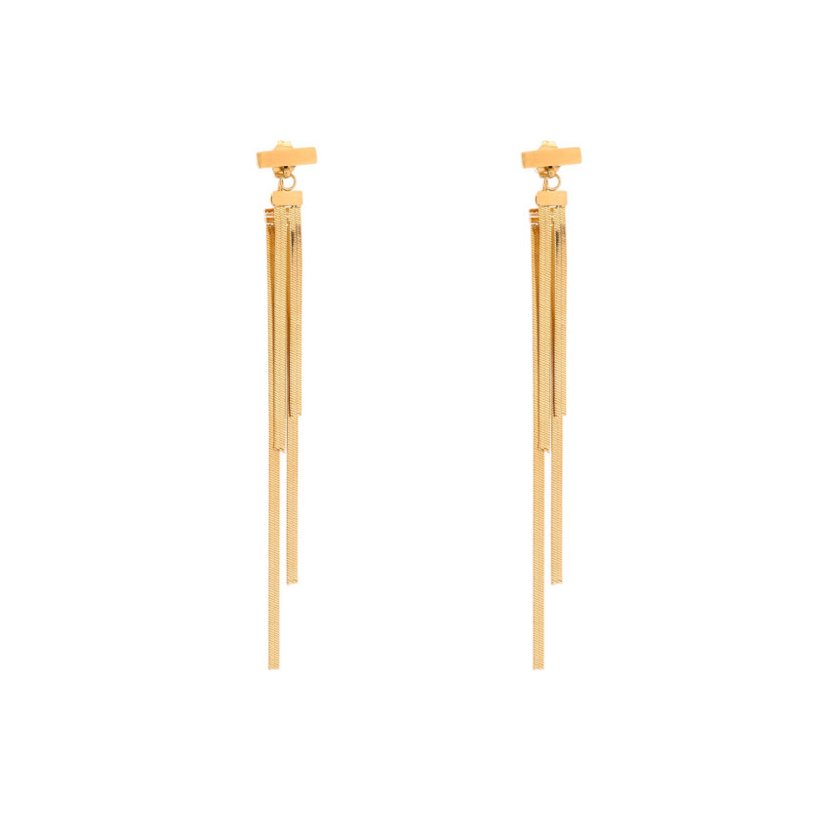 Steel earrings long fringed GB