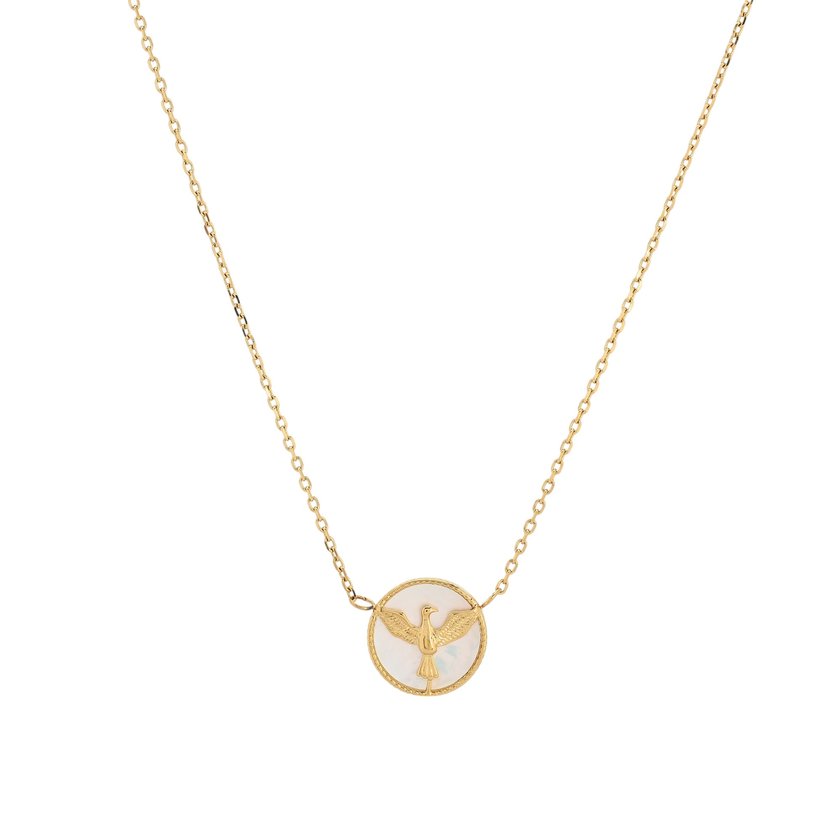 Collier acier colombe GB