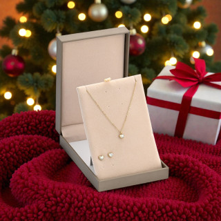 Conjunto de Acero Corazón