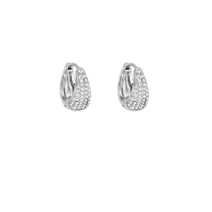 Stainless Steel Hoop Earrings with Zirconia